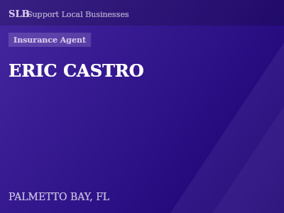 ERIC CASTRO — Insurance Agent in PALMETTO BAY, FL