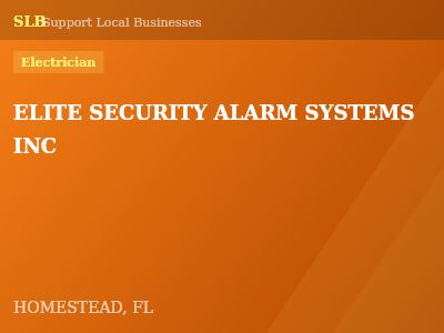 ELITE SECURITY ALARM SYSTEMS INC — Electrician in HOMESTEAD, FL