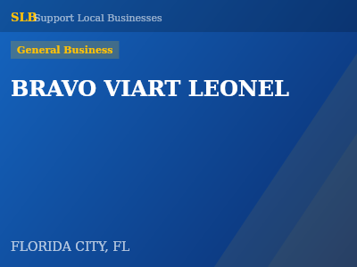 BRAVO VIART LEONEL — General Business in FLORIDA CITY, FL