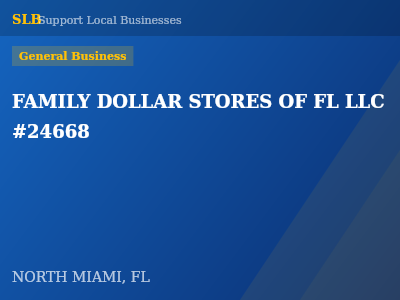 FAMILY DOLLAR STORES OF FL LLC #24668 — General Business in NORTH MIAMI, FL