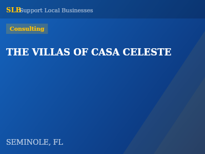 THE VILLAS OF CASA CELESTE — Consulting in SEMINOLE, FL
