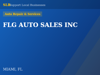 FLG AUTO SALES INC — Auto Repair & Services in MIAMI, FL