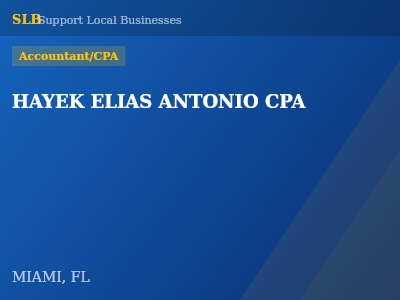 HAYEK ELIAS ANTONIO CPA — Accountant/CPA in MIAMI, FL