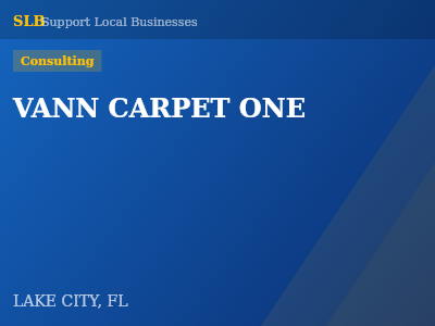 VANN CARPET ONE — Consulting in LAKE CITY, FL