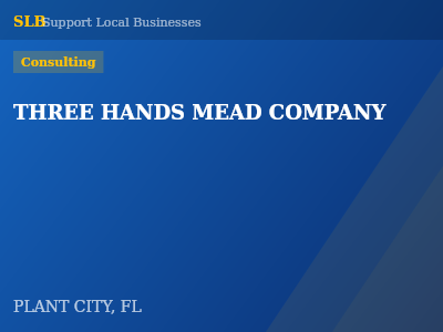 THREE HANDS MEAD COMPANY — Consulting in PLANT CITY, FL