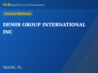 DEMIR GROUP INTERNATIONAL INC — General Business in MIAMI, FL