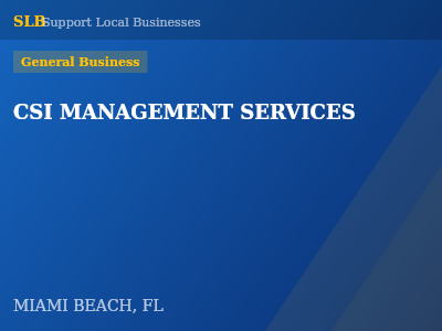 CSI MANAGEMENT SERVICES — General Business in MIAMI BEACH, FL