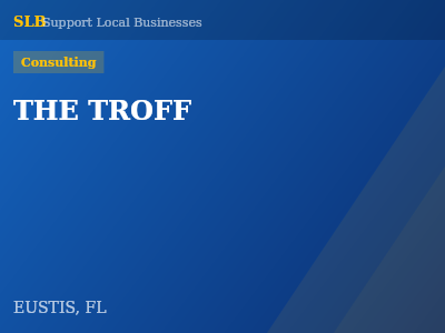 THE TROFF — Consulting in EUSTIS, FL