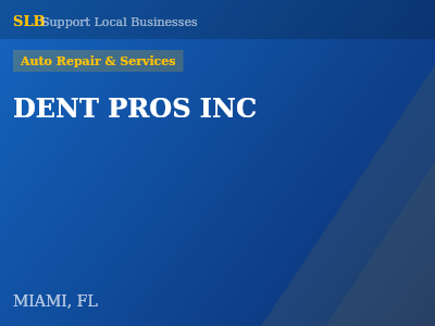 DENT PROS INC — Auto Repair & Services in MIAMI, FL