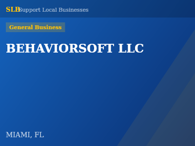 BEHAVIORSOFT LLC — General Business in MIAMI, FL