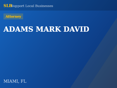 ADAMS MARK DAVID — Attorney in MIAMI, FL