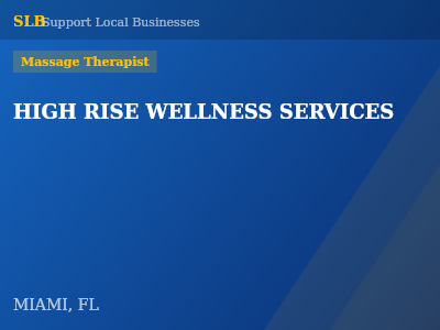HIGH RISE WELLNESS SERVICES — Massage Therapist in MIAMI, FL