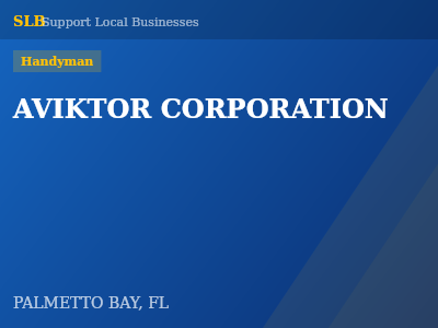AVIKTOR CORPORATION — Handyman in PALMETTO BAY, FL