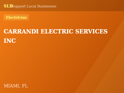 CARRANDI ELECTRIC SERVICES INC — Electrician in MIAMI, FL