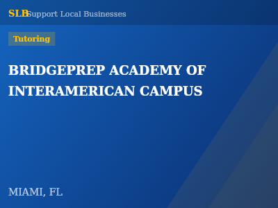 BRIDGEPREP ACADEMY OF INTERAMERICAN CAMPUS — Tutoring in MIAMI, FL