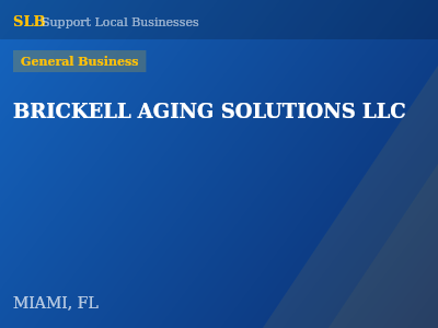 BRICKELL AGING SOLUTIONS LLC — General Business in MIAMI, FL