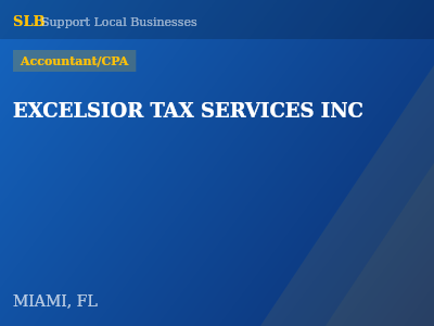 EXCELSIOR TAX SERVICES INC — Accountant/CPA in MIAMI, FL