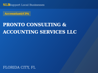 PRONTO CONSULTING & ACCOUNTING SERVICES LLC — Accountant/CPA in FLORIDA CITY, FL