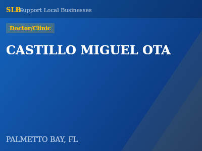 CASTILLO MIGUEL OTA — Doctor/Clinic in PALMETTO BAY, FL