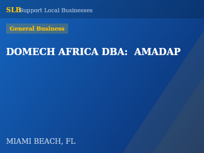 DOMECH AFRICA DBA:  AMADAP — General Business in MIAMI BEACH, FL