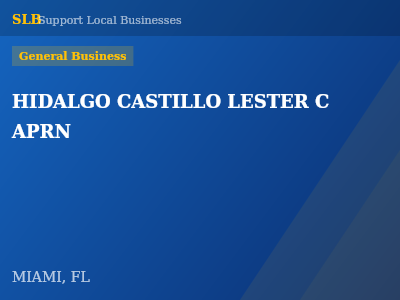 HIDALGO CASTILLO LESTER C APRN — General Business in MIAMI, FL