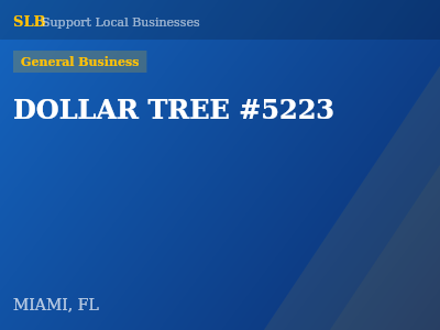 DOLLAR TREE #5223 — General Business in MIAMI, FL