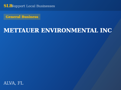 METTAUER ENVIRONMENTAL INC — General Business in ALVA, FL