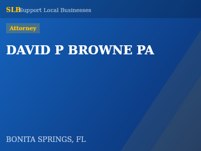 DAVID P BROWNE PA — Attorney in BONITA SPRINGS, FL