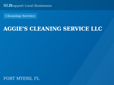 AGGIE'S CLEANING SERVICE LLC — Cleaning Service in FORT MYERS, FL