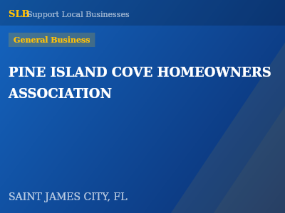 PINE ISLAND COVE HOMEOWNERS ASSOCIATION — General Business in SAINT JAMES CITY, FL
