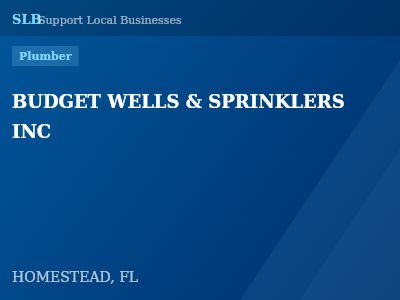 BUDGET WELLS & SPRINKLERS INC — Plumber in HOMESTEAD, FL