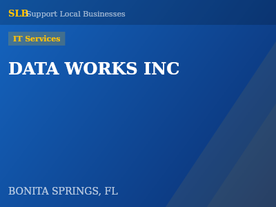 DATA WORKS INC — IT Services in BONITA SPRINGS, FL