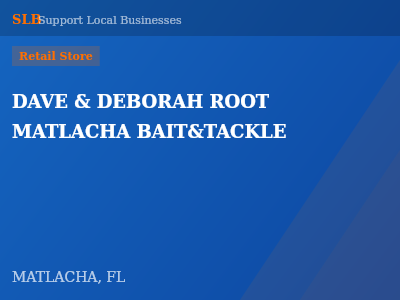 DAVE & DEBORAH ROOT MATLACHA BAIT&TACKLE — Retail Store in MATLACHA, FL