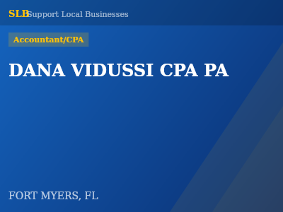 DANA VIDUSSI CPA PA — Accountant/CPA in FORT MYERS, FL