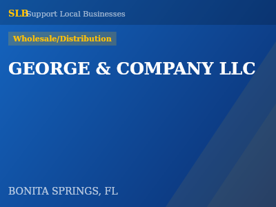 GEORGE & COMPANY LLC — Wholesale/Distribution in BONITA SPRINGS, FL