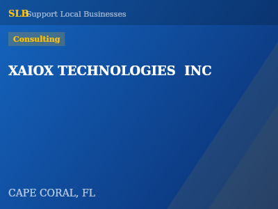 XAIOX TECHNOLOGIES  INC — Consulting in CAPE CORAL, FL