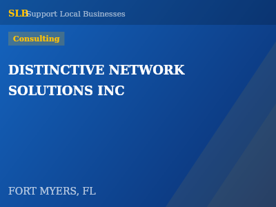 DISTINCTIVE NETWORK SOLUTIONS INC — Consulting in FORT MYERS, FL
