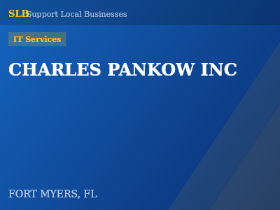 CHARLES PANKOW INC — IT Services in FORT MYERS, FL
