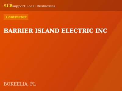 BARRIER ISLAND ELECTRIC INC — Contractor in BOKEELIA, FL