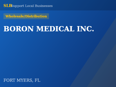BORON MEDICAL INC. — Wholesale/Distribution in FORT MYERS, FL