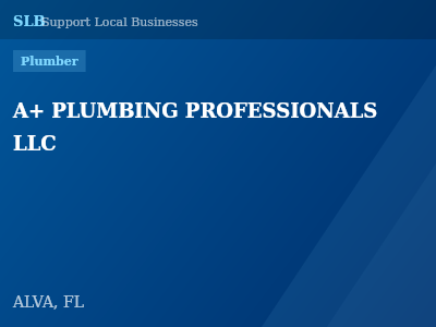A+ PLUMBING PROFESSIONALS LLC — Plumber in ALVA, FL