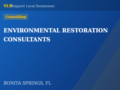 ENVIRONMENTAL RESTORATION CONSULTANTS — Consulting in BONITA SPRINGS, FL