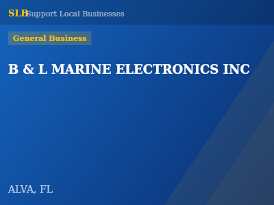 B & L MARINE ELECTRONICS INC — General Business in ALVA, FL