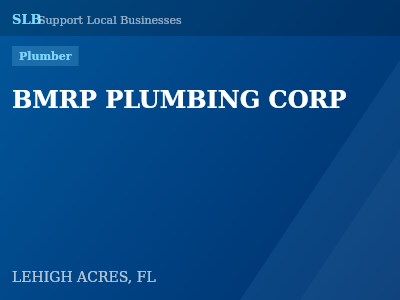 BMRP PLUMBING CORP — Plumber in LEHIGH ACRES, FL