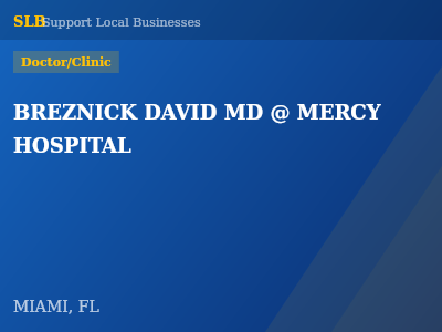 BREZNICK DAVID MD @ MERCY HOSPITAL — Doctor/Clinic in MIAMI, FL
