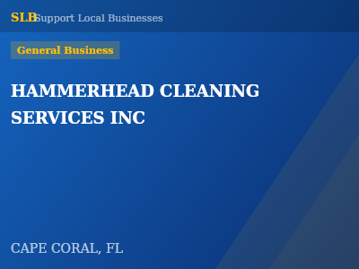 HAMMERHEAD CLEANING SERVICES INC — General Business in CAPE CORAL, FL