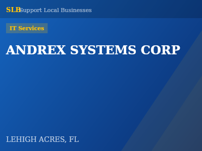 ANDREX SYSTEMS CORP — IT Services in LEHIGH ACRES, FL