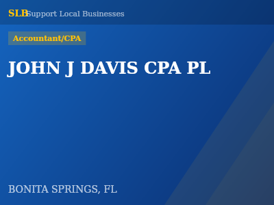 JOHN J DAVIS CPA PL — Accountant/CPA in BONITA SPRINGS, FL
