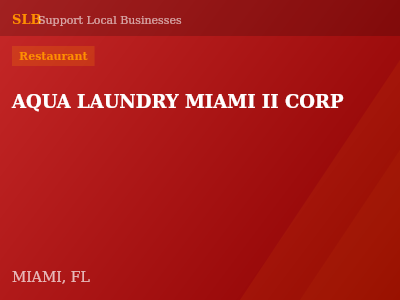 AQUA LAUNDRY MIAMI II CORP — Restaurant in MIAMI, FL