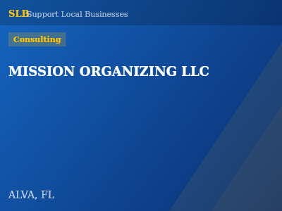 MISSION ORGANIZING LLC — Consulting in ALVA, FL